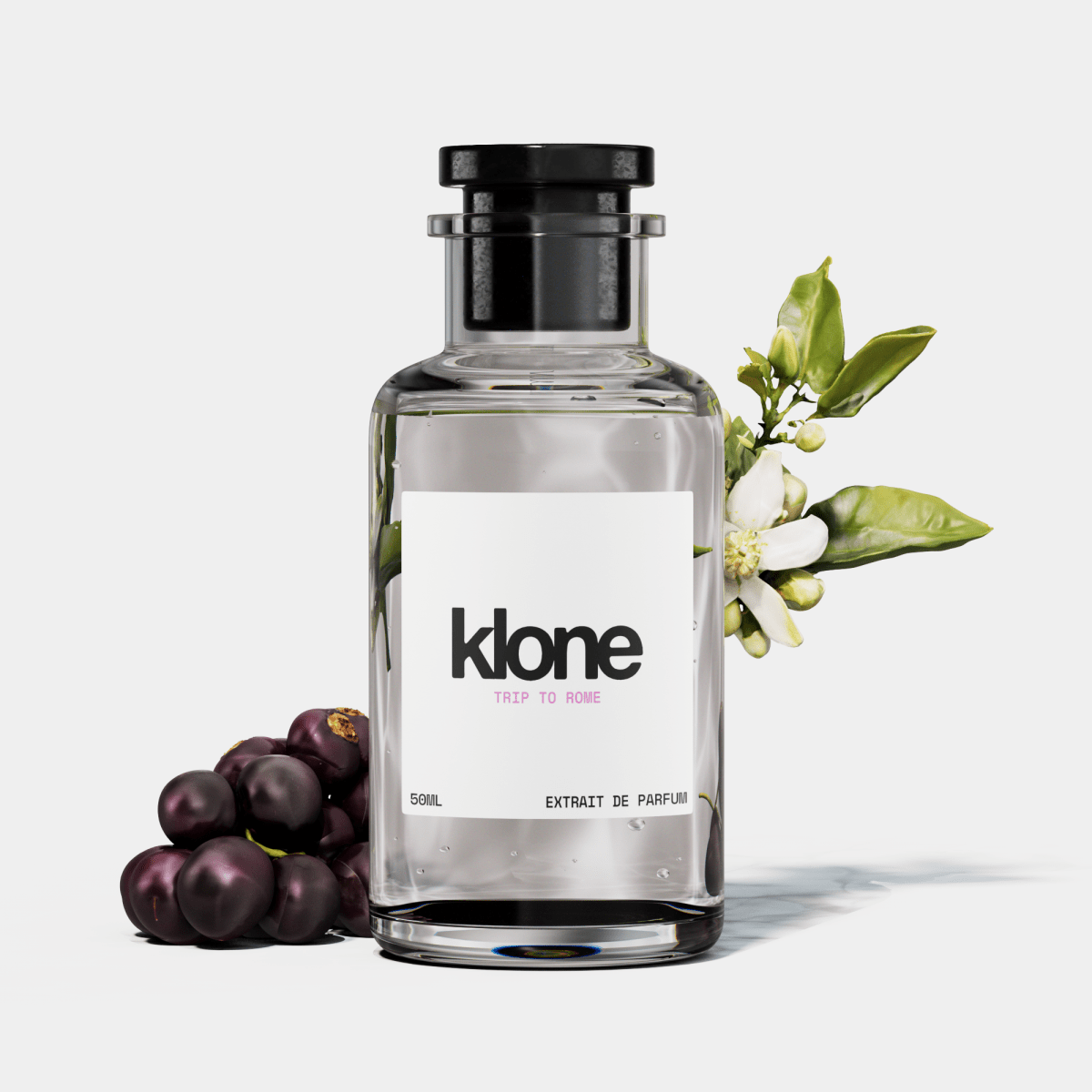 TRIP TO ROME - klone
